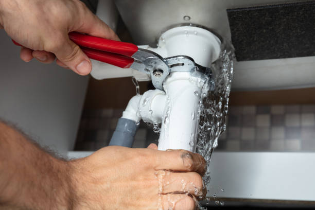 Best Flooded house restoration  in De Soto, MO