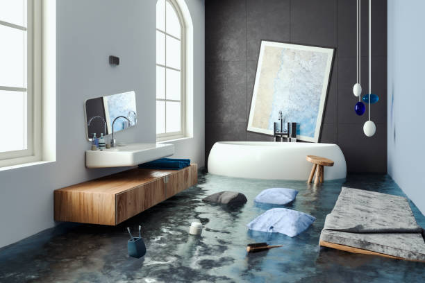 Best Professional water damage repair  in De Soto, MO
