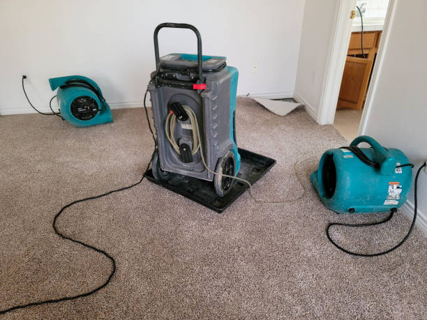 Best Carpet water damage restoration  in De Soto, MO