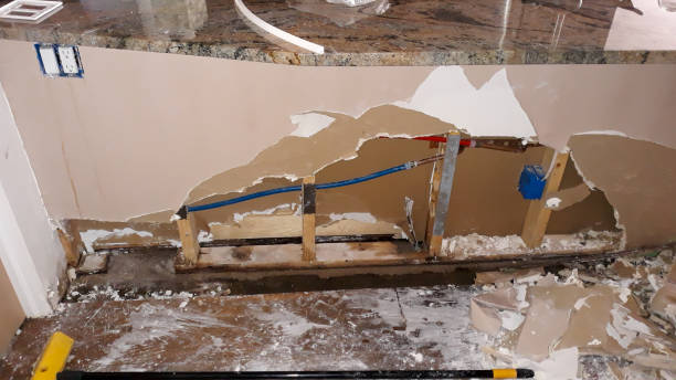 Best Water damage contractors near me  in De Soto, MO