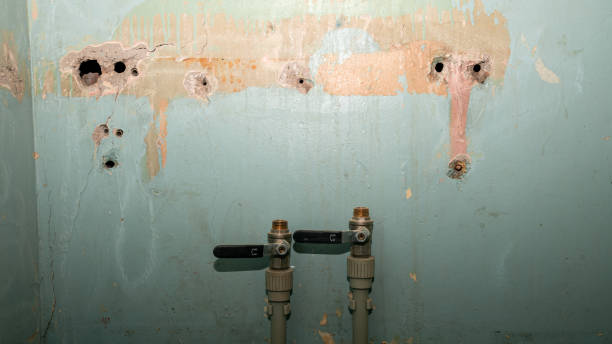 Best Emergency water damage restoration  in De Soto, MO