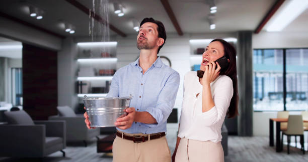 Best 24/7 water damage repair  in De Soto, MO